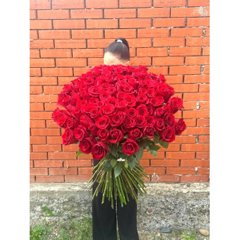 101 красная роза Эквадор