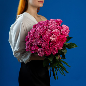 роза " Кантри Блю"