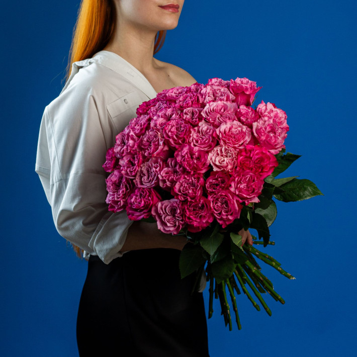 роза " Кантри Блю"