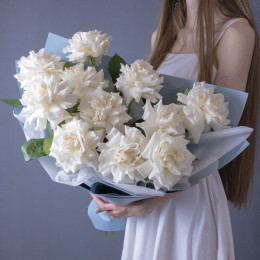 Французские розы  "Мондиаль"