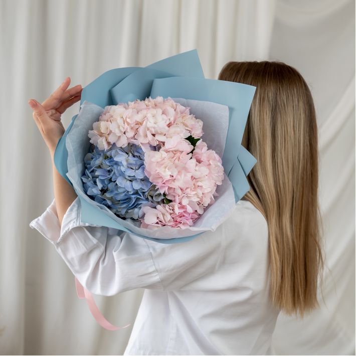 3 гортензии микс