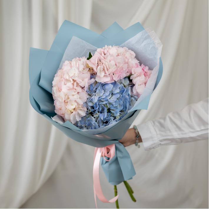 3 гортензии микс